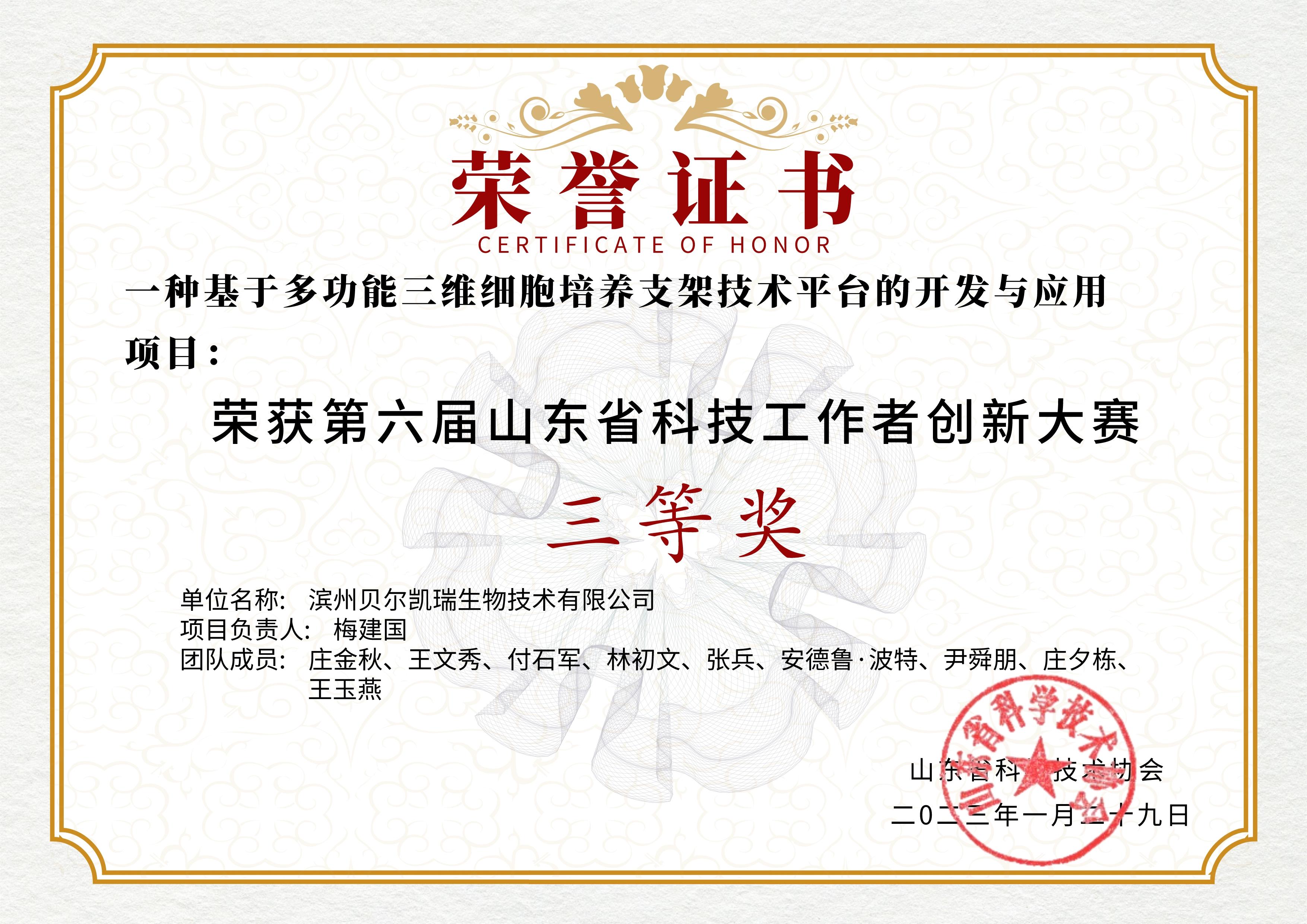 山东省科技创新大赛三等奖